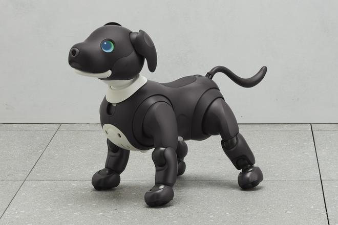 索尼机器宠物狗aibo推出2023限定颜色款 预定1月16日上市