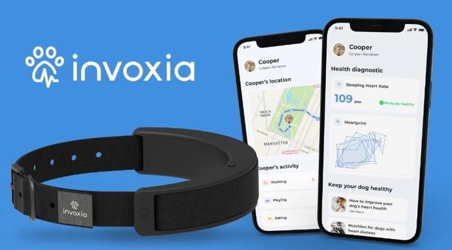 Invoxia 公司在 CES 2023 发布狗狗智能项圈