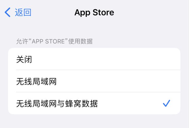 无法在 iPhone 上打开 App Store 怎么办？