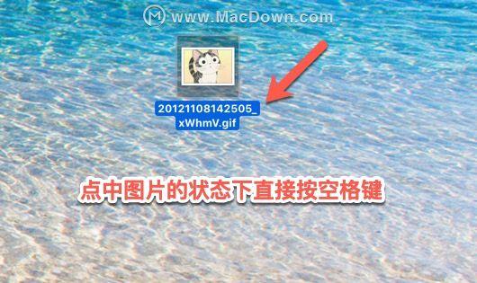 谁说Mac系统不能直接查看gif图片？分享MAC直接查看gif图片的三种方法