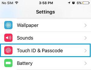 iPhone 上的 Touch ID 和密码设置选项