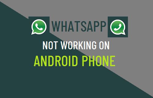 WhatsApp 无法在 Android 手机上运行