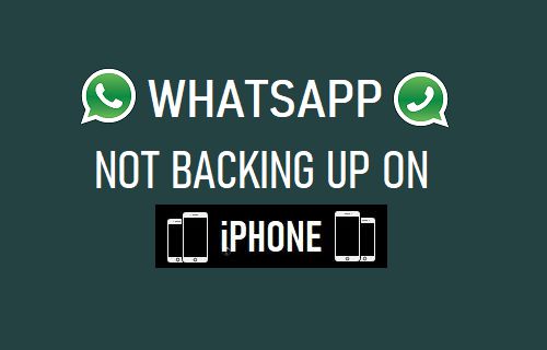 WhatsApp 不在 iPhone 上备份