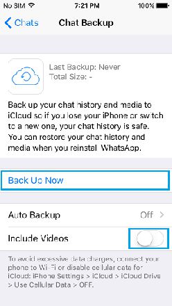 将 iPhone 上的 WhatsApp 消息手动备份到 iCloud Drive