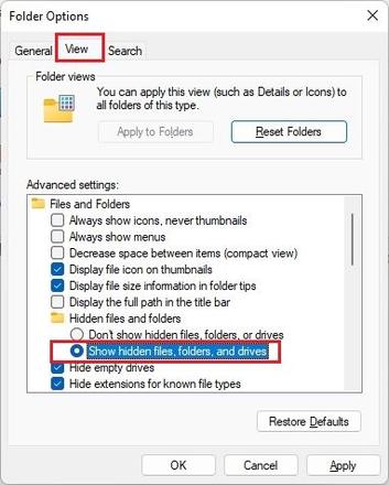 从文件资源管理器中查找 Windows 11 启动文件夹