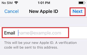 在 iPhone 上输入新的 Apple ID 电子邮件地址