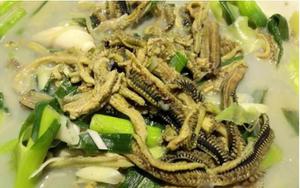 【中国美食】海蜈蚣的做法