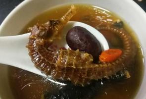 【中国美食】海马的功效与作用吃法