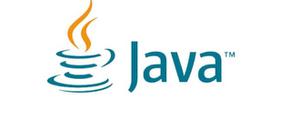 java语言使用的字符码集是