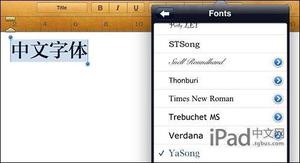 怎么更换iPad默认字体和字典