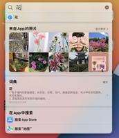 小技巧：iOS 15  聚焦功能支持搜索图片