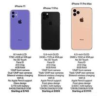 关于手机苹果11上市时间（iPhone11的官方发售及参数汇总）