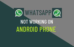 WhatsApp无法在安卓手机上运行