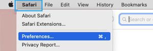 如何在Mac和iPhone上设置或更改Safari主页