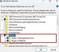 如何在Windows11上启用Hyper-V，几个方法