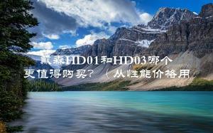 戴森HD01和HD03哪个更值得购买？（从性能价格用户介绍三个方面对比分析）